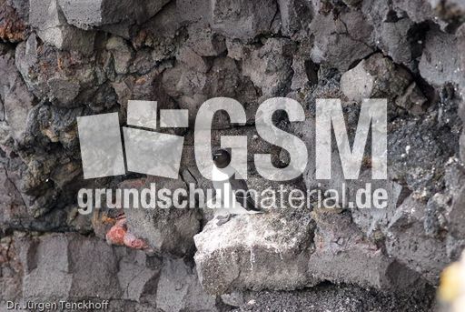 Tordalk (1 von 11).jpg